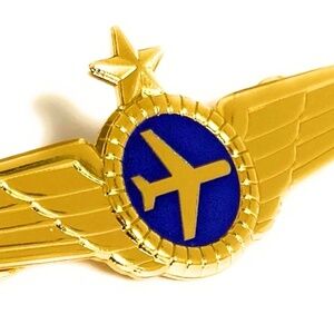 Airlines Pilot Wings Captains Badge Wing Pin
